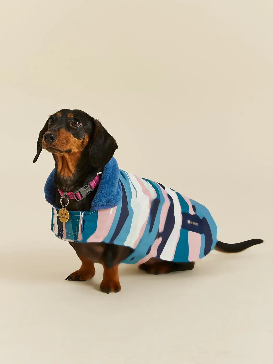 Alva Dogs Coat