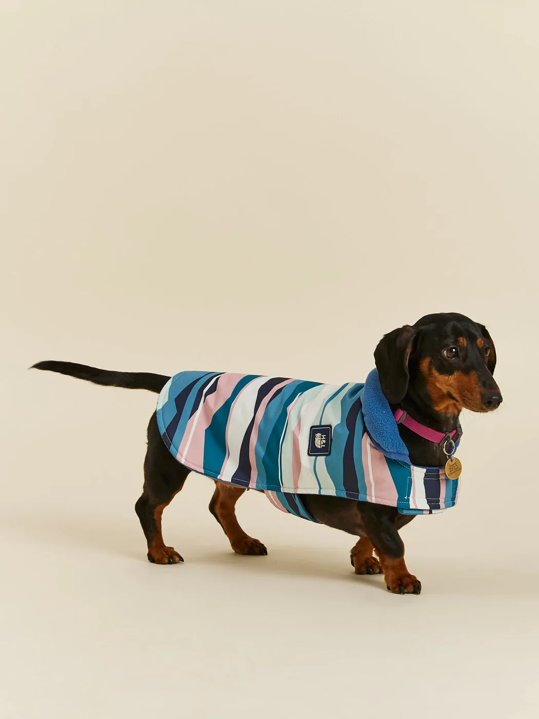 Alva Dogs Coat