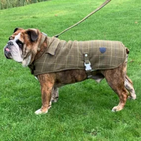 Green Checked Tweed Dog Coat