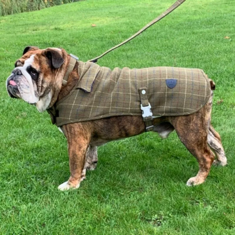 Green Checked Tweed Dog Coat