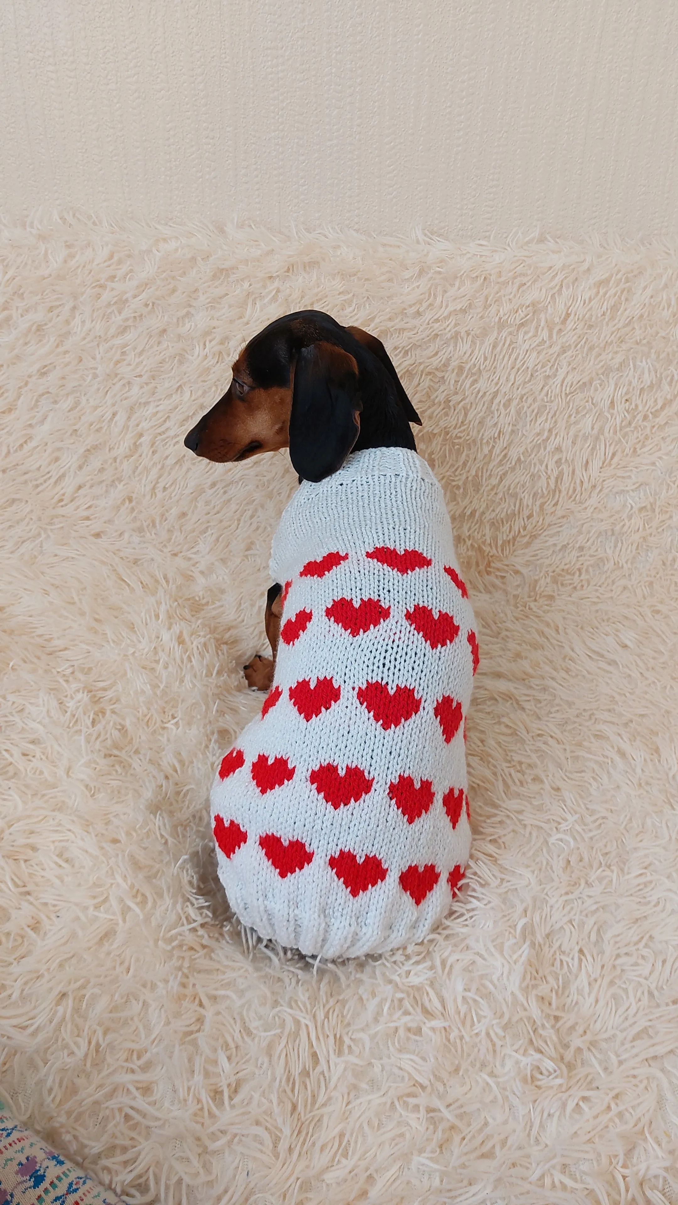Jumper with hearts for dog valentine's day gift,Dachshund knitted heart sweater, clothing heart sweater, Valentine's day dog sweater