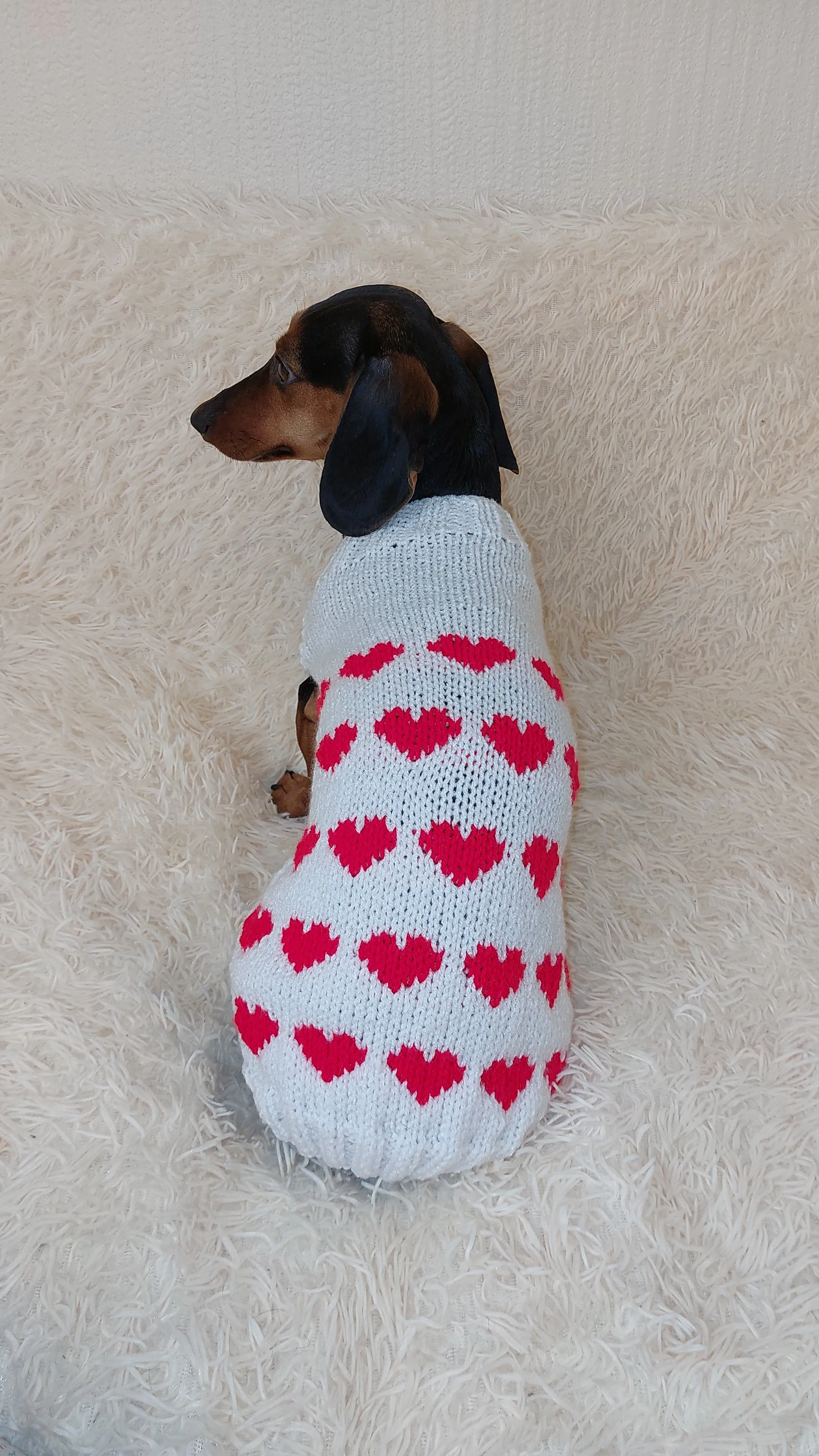 Jumper with hearts for dog valentine's day gift,Dachshund knitted heart sweater, clothing heart sweater, Valentine's day dog sweater