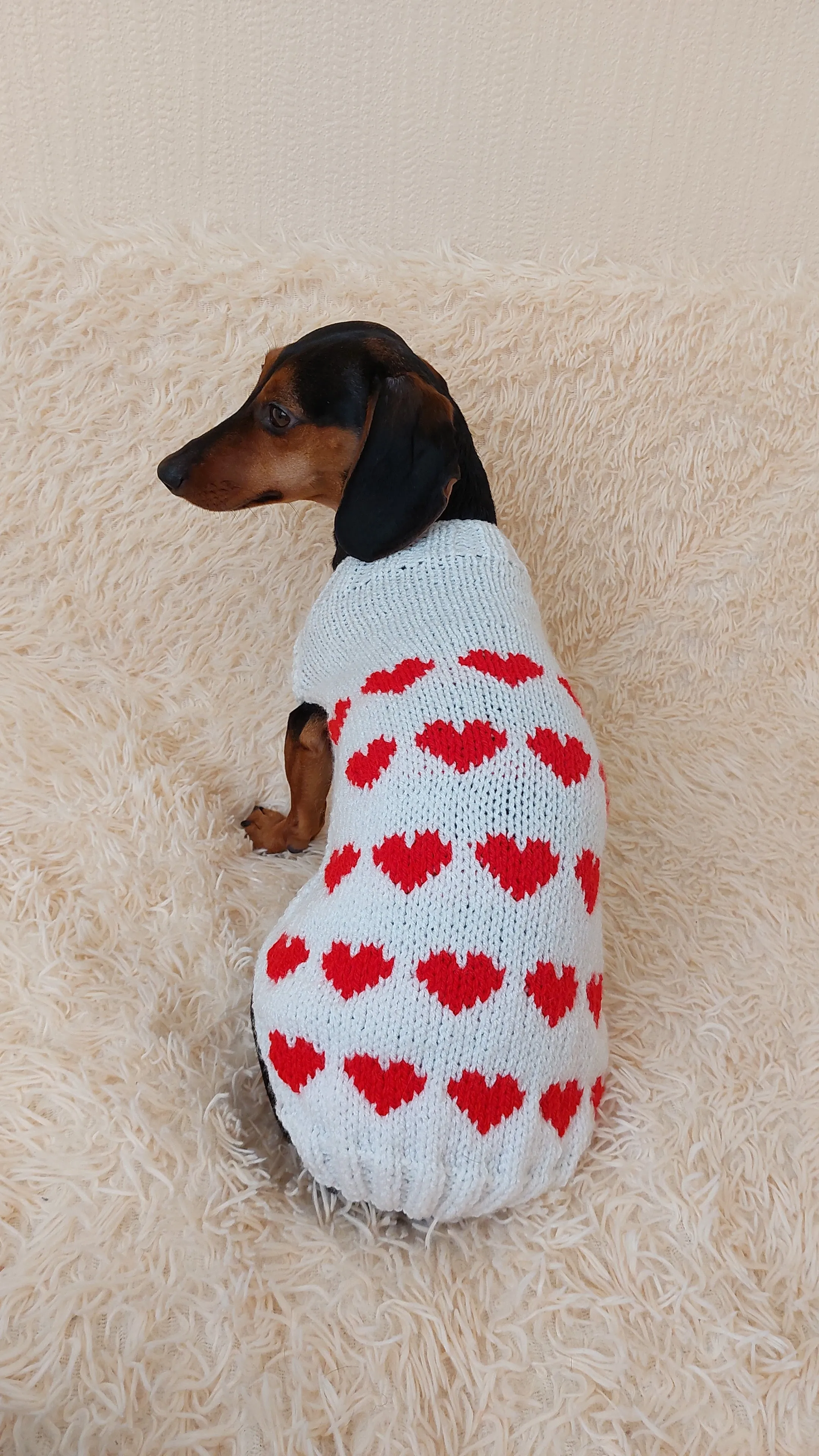 Jumper with hearts for dog valentine's day gift,Dachshund knitted heart sweater, clothing heart sweater, Valentine's day dog sweater