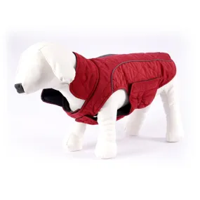ThinkPet Dog Winter Coat - Red